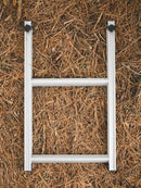 Ladder Extension